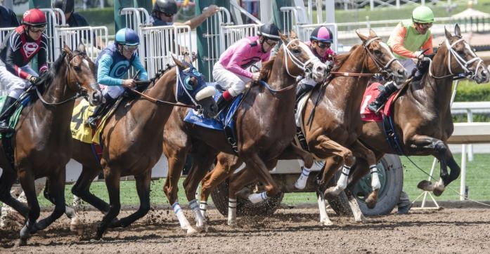 Pferderennen mit Jockeys