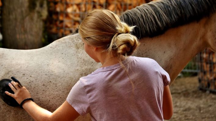 Frau putzt ein weißes Pferd mit einer Bürste